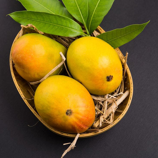 Devgad Alphonso Mango