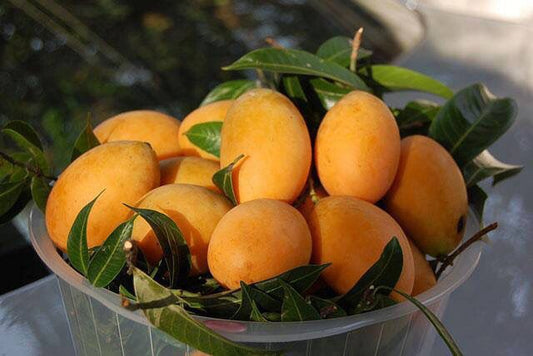 Kesar Mango